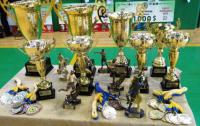 г     "Lviv Open Cup"