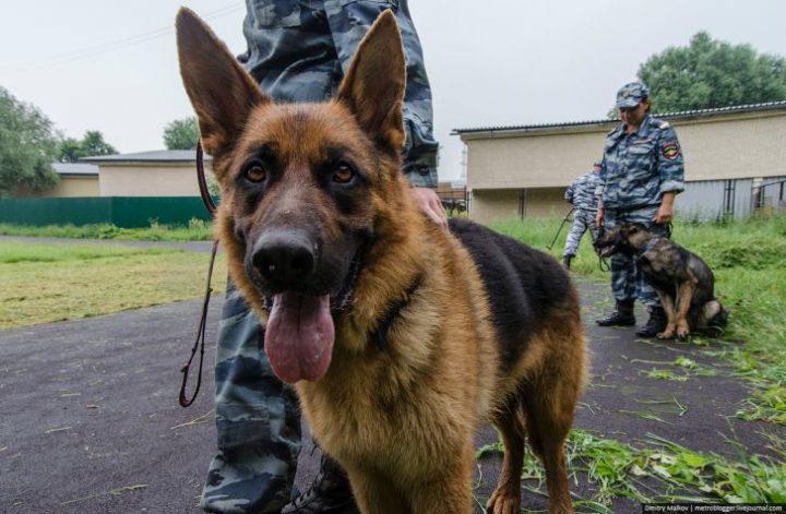 Закон України Від 01.07.2023 №1556-VII "Про Вищу Освіту" (із Змінами і Доповненнями)