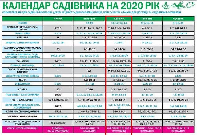 Оптимальні умови для успішної посадки насіння