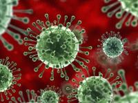 Пандемія: у світі COVID-19 інфіковані понад 29 млн людей