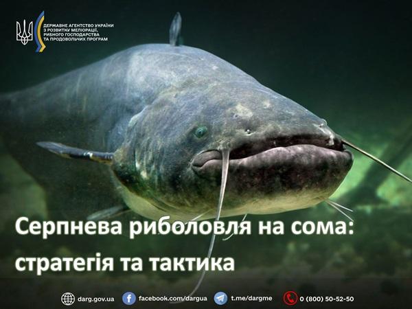 риболовля на сома