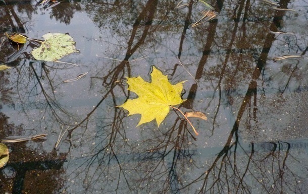 осінній дощ