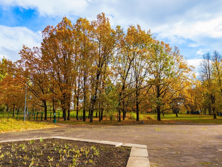 осіннє Рівне