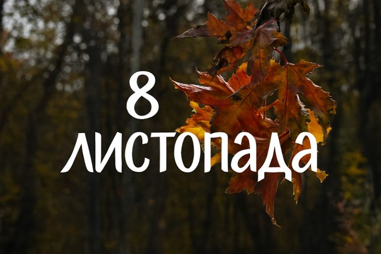 8 листопада