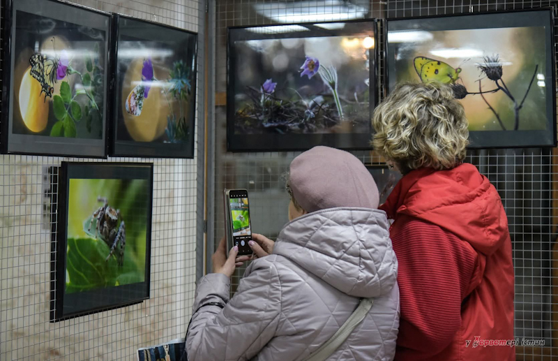 «У лабіринтах макросвіту»