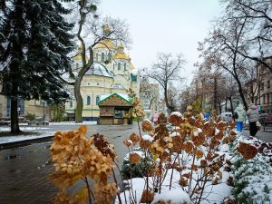 перший сніг