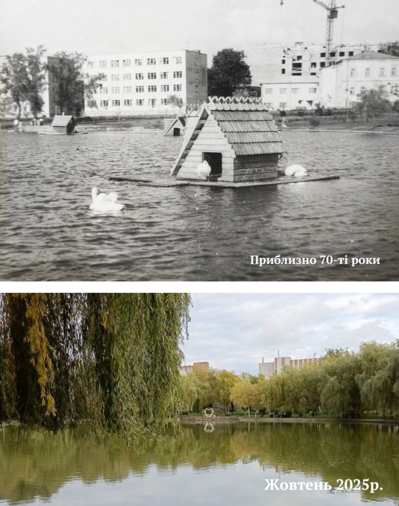 Парк Лебединка в Рівному