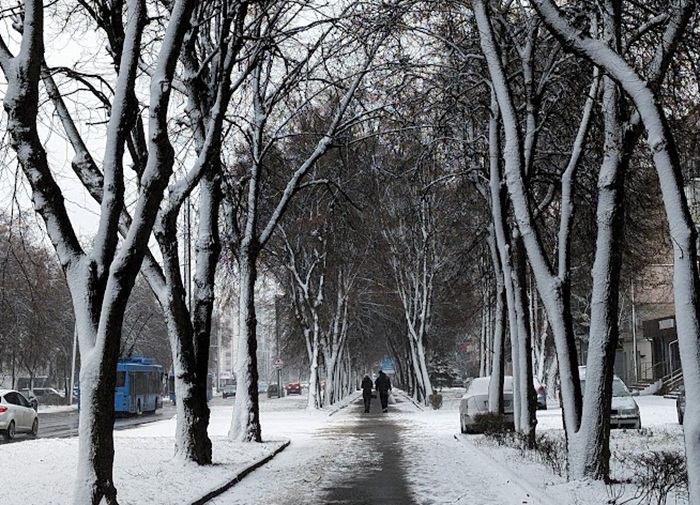 прогноз погоди на кінець грудня
