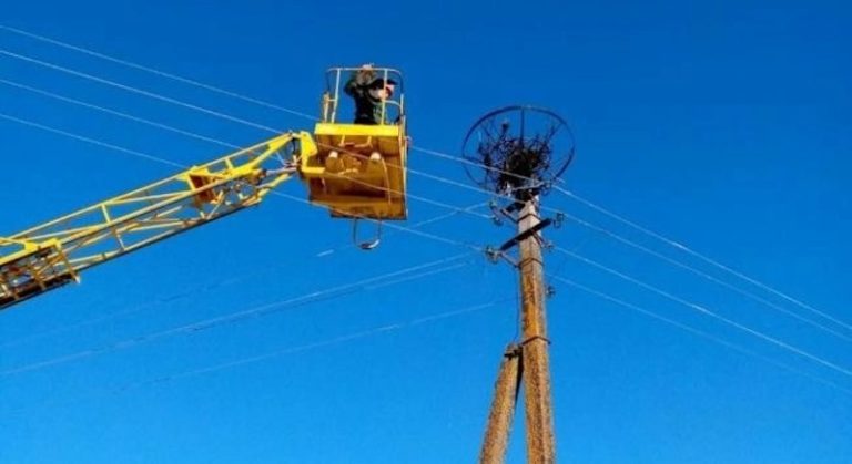 Лелеки залишили село без світла