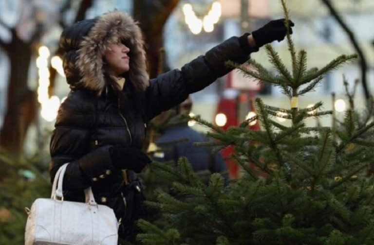 Жива ялинка