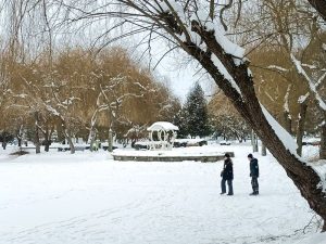 засніжена Лебединка