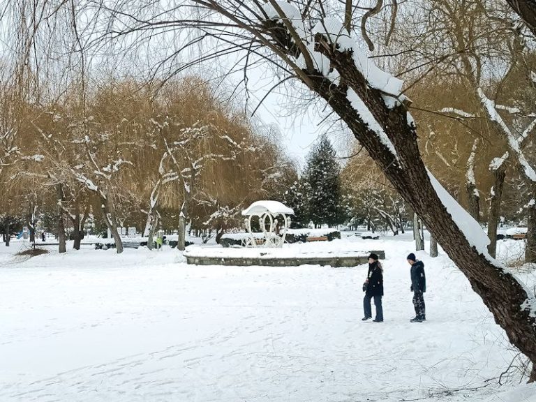 засніжена Лебединка