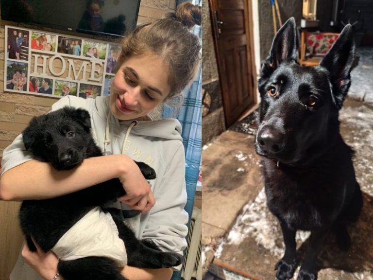 Родина переселенців