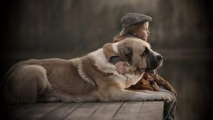 кладовища для тварин