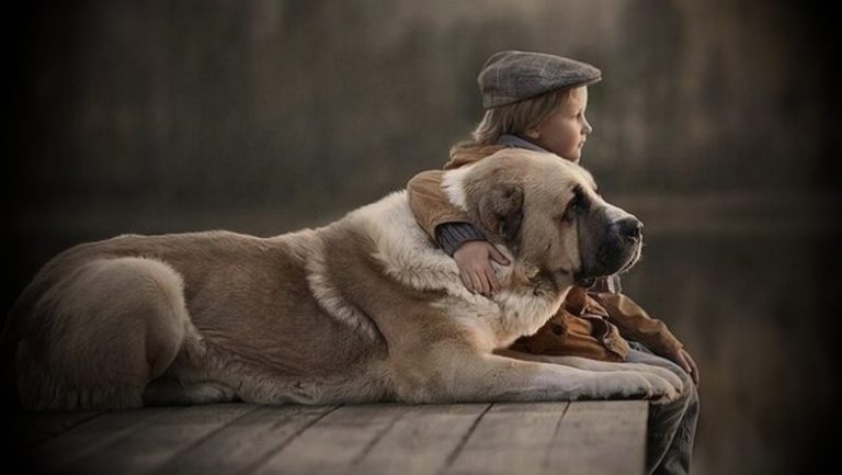 кладовища для тварин