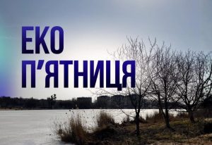 «Еко-п’ятниця»