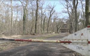 19-річну українку