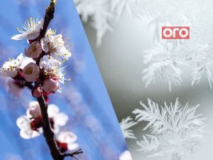 похолодання у березні