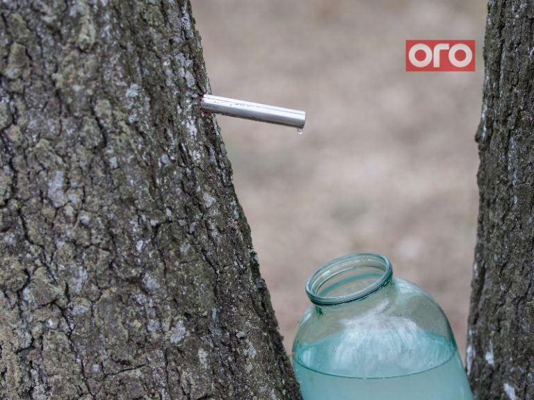 березовий сік