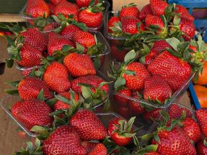 перша полуниця