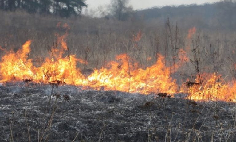 горить трава