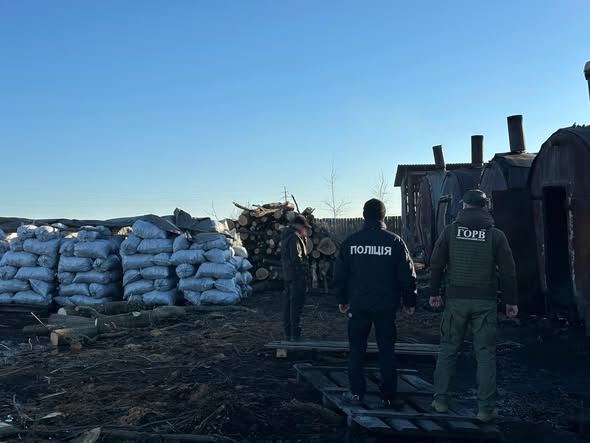 незаконне виробництво вугілля