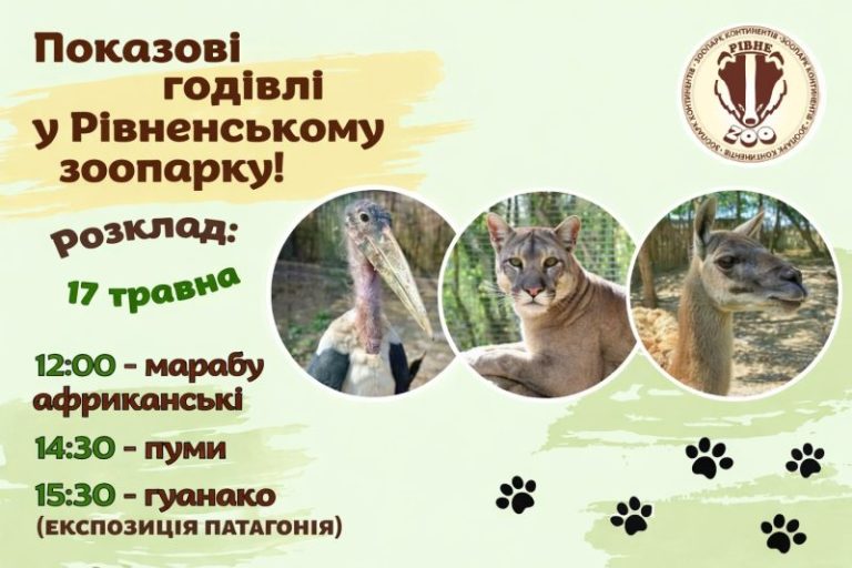 показові годівлі з зоопарку