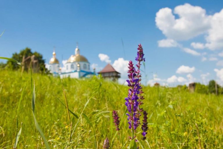 Сьогодні починається Петрів піст