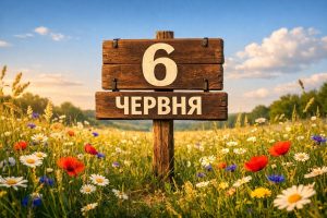 6 червня