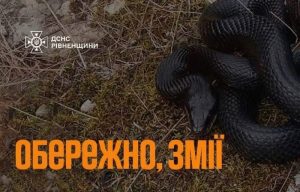 змії на Рівненщині