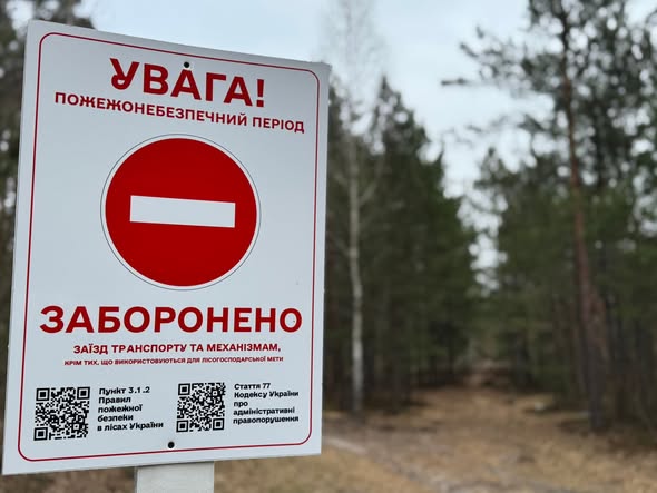 пожежі в лісі