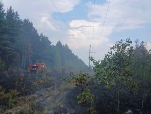 пошкодження високовольтної лінії