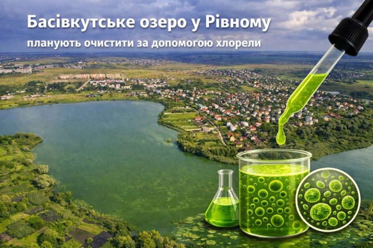 Басів кут очистить хлорела
