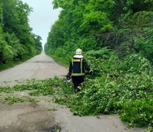 дерево перекрило міжнародну трасу