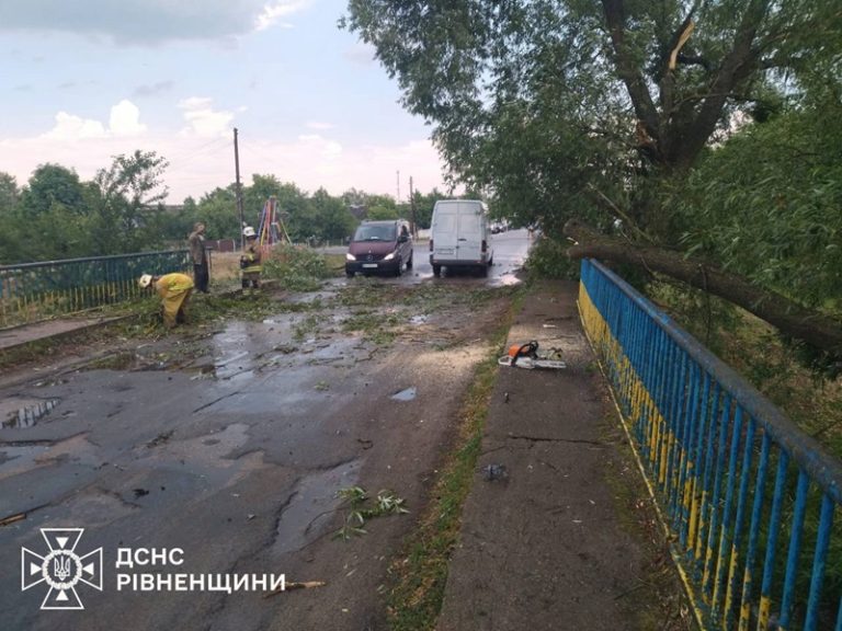 Рівненщина потерпає від негоди: повалені дерева заблокували дороги