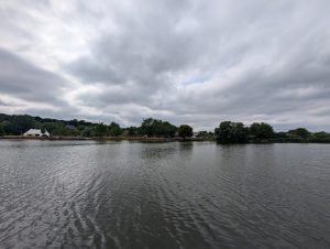 якість води у Басівкутському озері