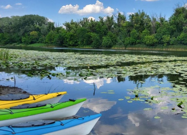 після Іллі не купаються