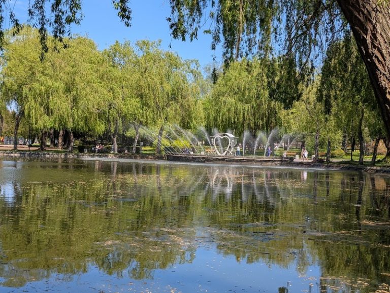 Цікаве дозвілля у Рівному: куди піти 14-19 липня