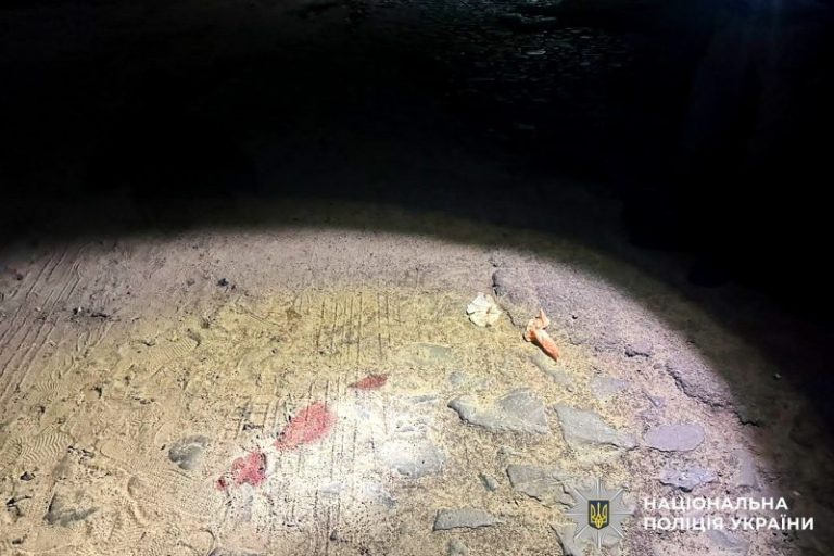 На Володимиреччині в ДТП травмувалися 16-річна мотоциклістка та 14-річна пішохідка