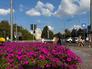 Моє рідне місто
