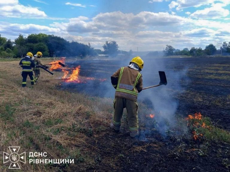 Понад 5 гектарів у вогні: за добу на Рівненщині гасили 12 пожеж в екосистемах