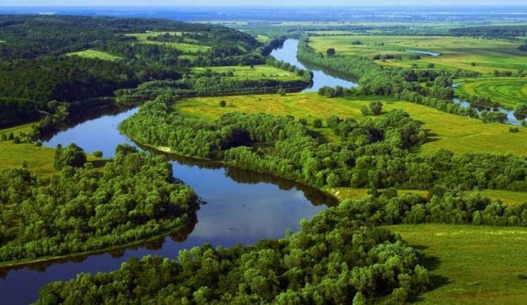 Через спеку та посуху на Рівненщині міліють річки: в області обмежили забір води для підприємств
