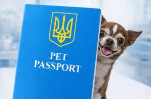Ветеринарний паспорт нового зразка