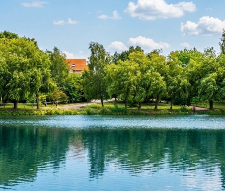 Вода, мул і бульбашки: що відбувається з водоймою «Яйце» у Рівному